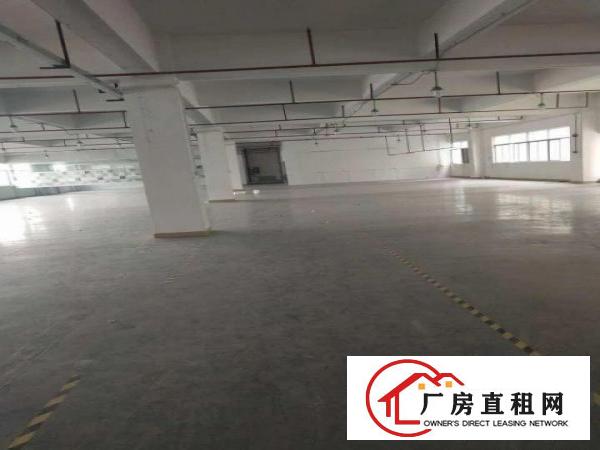 
宝龙超靓工业园分租三楼1500、1800平带装修