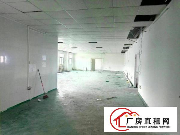 
龙岗龙东4600平无公摊独院厂房出租，白菜价18元
