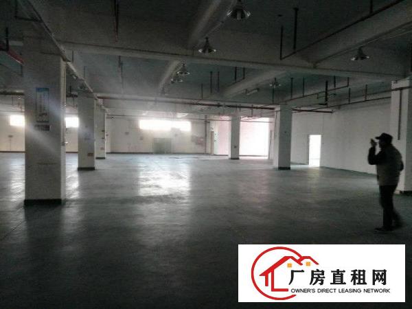 
8年合同，龙岗同乐25080平红本独院厂房18块租