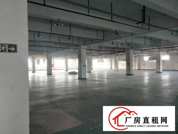 
8年合同，龙岗同乐25080平红本独院厂房18块租