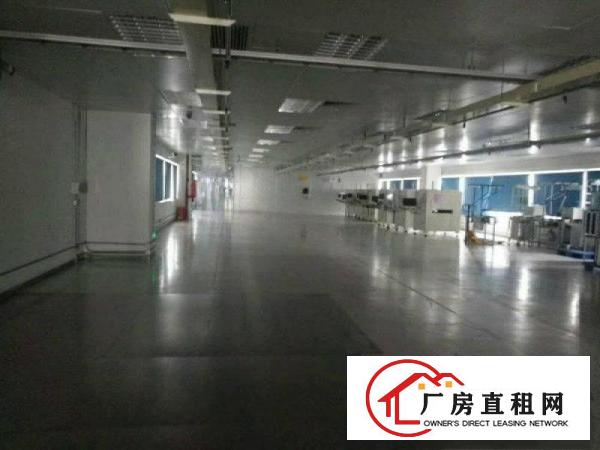 
龙岗宝龙新出独院厂房12500平方18块租