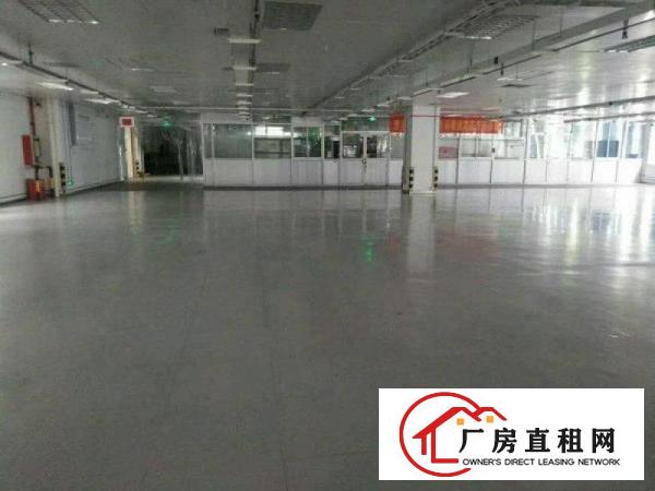 
龙岗宝龙新出独院厂房12500平方18块租