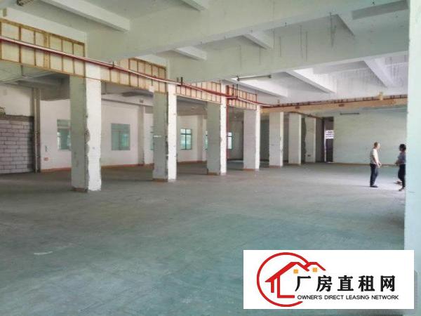 
龙岗同乐6米高1200平米标准红本厂房大小分租