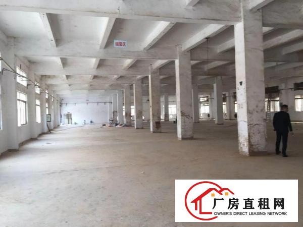 
龙岗宝龙新出独院厂房12500平方火爆招租
