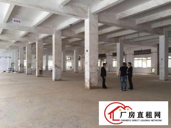 
龙岗宝龙新出独院厂房12500平方火爆招租