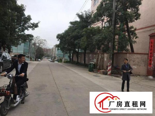 
龙岗宝龙新出独院厂房12500平方火爆招租
