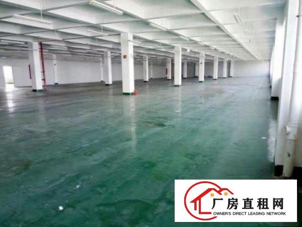 
龙岗中心城南联地铁口2500平带装修厂房出租