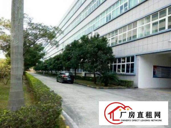 
龙岗中心城南联地铁口2500平带装修厂房出租