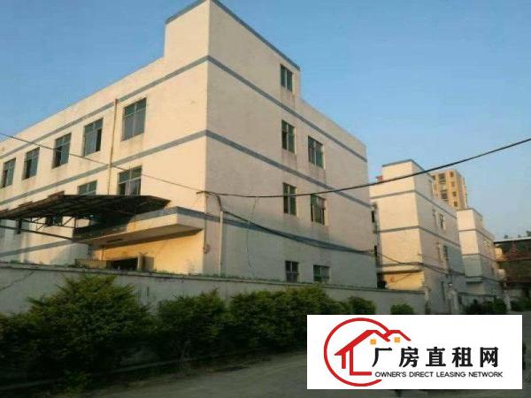 
龙岗成熟工业区楼上1500平，500平出租