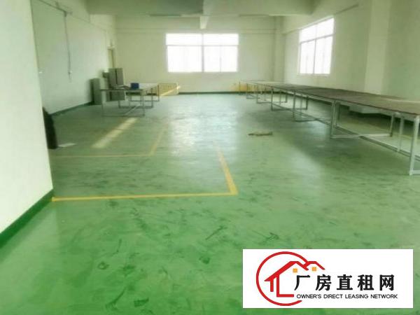 
龙岗坪地工业园标准楼上2000平米办公楼