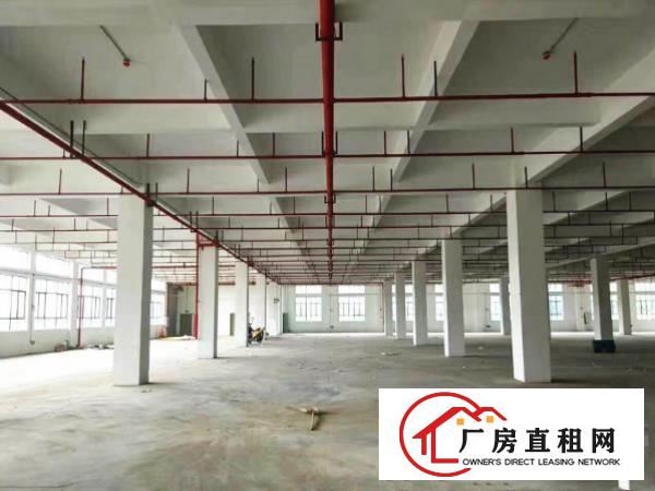 
龙岗坪地工业园标准楼上2000平米办公楼