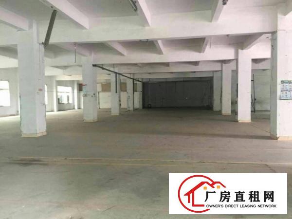 
龙岗带装修厂房1200平米整层出租，无公摊面积