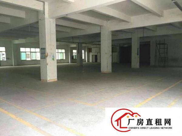 
龙岗带装修厂房1200平米整层出租，无公摊面积