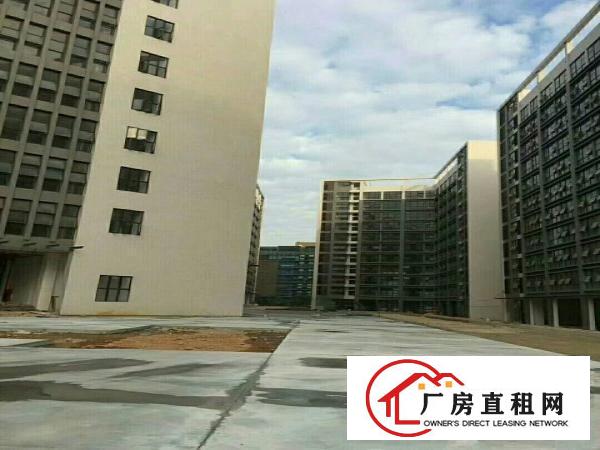 
龙岗新建红本厂房15万平出租大小分租