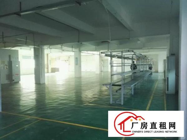 
龙岗新生二楼1100平带装修标准厂房出租
