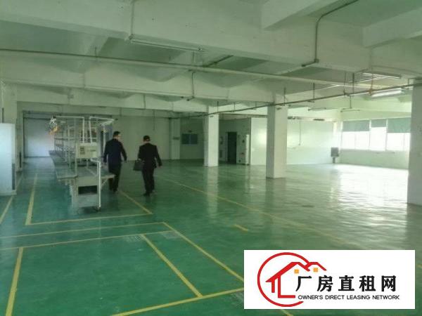
龙岗新生二楼1100平带装修标准厂房出租