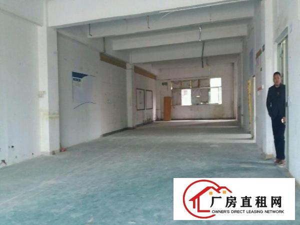 
真实房源爱联工业区宝荷路厂房550平米16元出租