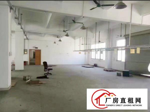 
龙岗龙东厂房出租300平450平780平厂房