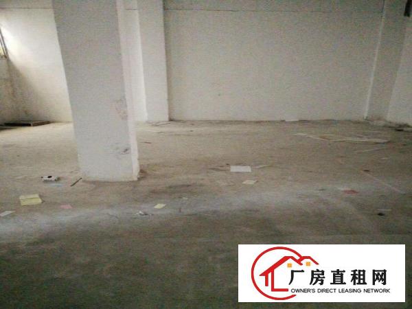 
出租龙岗区300平500平800平简装厂房