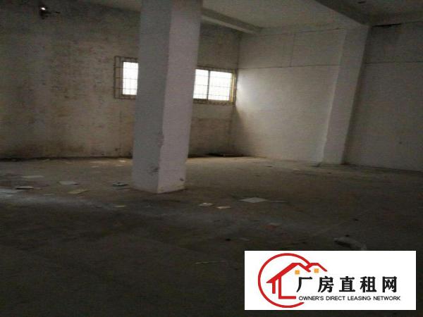 
出租龙岗区300平500平800平简装厂房