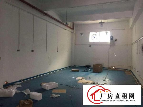 
龙岗南联18块一楼300平厂房出租