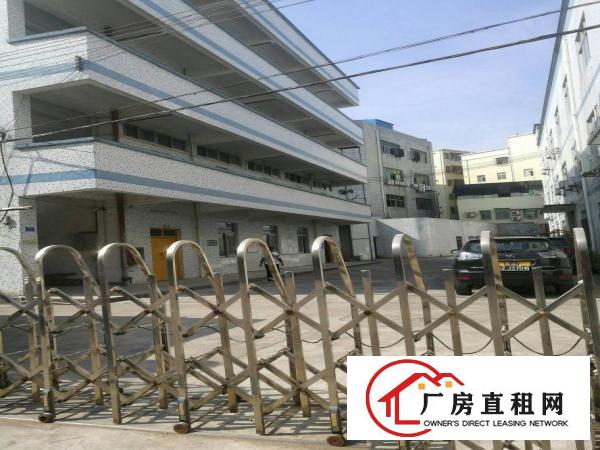 
龙岗镇一楼厂房1400平方米大小面积可分租