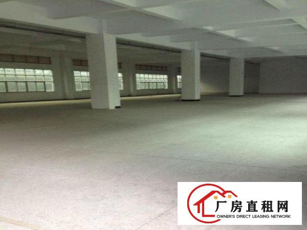 
龙岗同乐超靓独院厂房4200平方出租