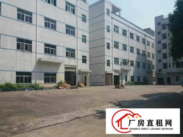 
龙岗一楼一楼标准厂房铁皮房仓库招租