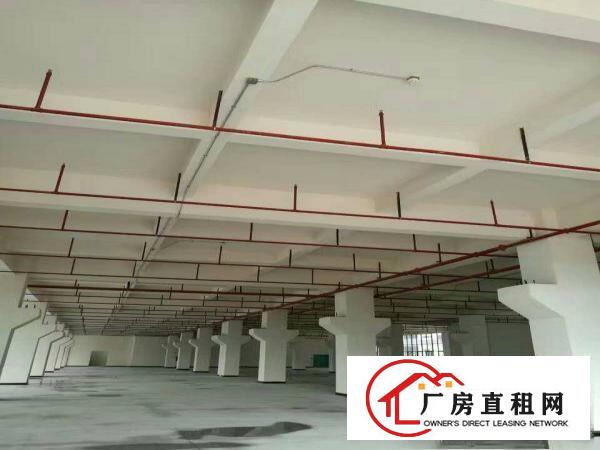 
龙岗一楼一楼标准厂房铁皮房仓库招租