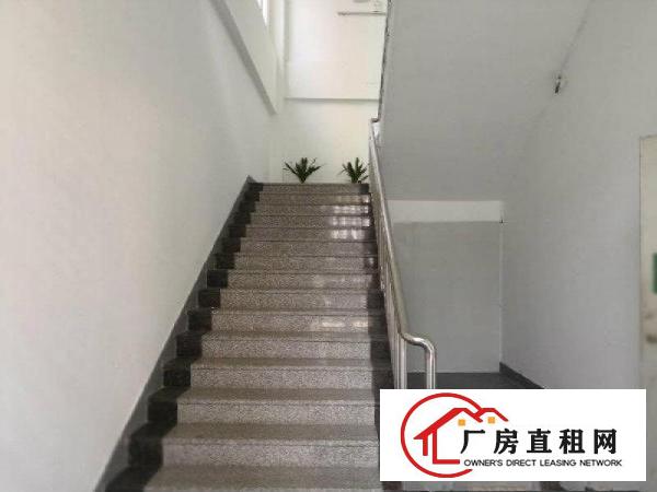 
转让！南联大型工业园3楼1200平豪华装修厂房出租
