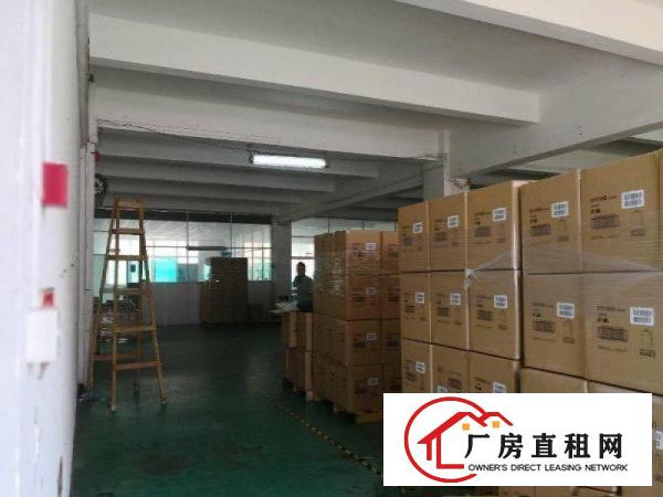 
转让！南联大型工业园3楼1200平豪华装修厂房出租