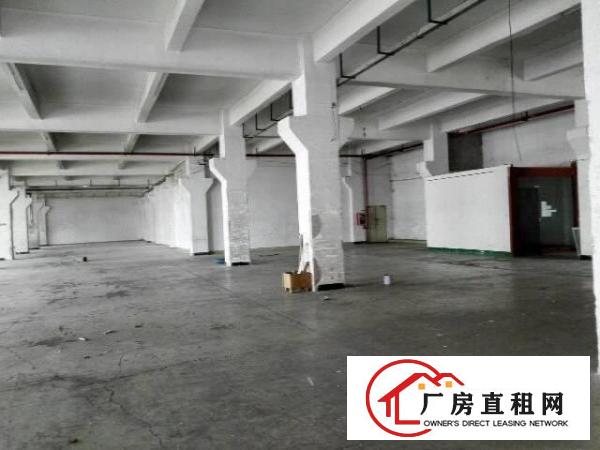 
龙岗中心城新出一楼标准厂1500平带装修招租