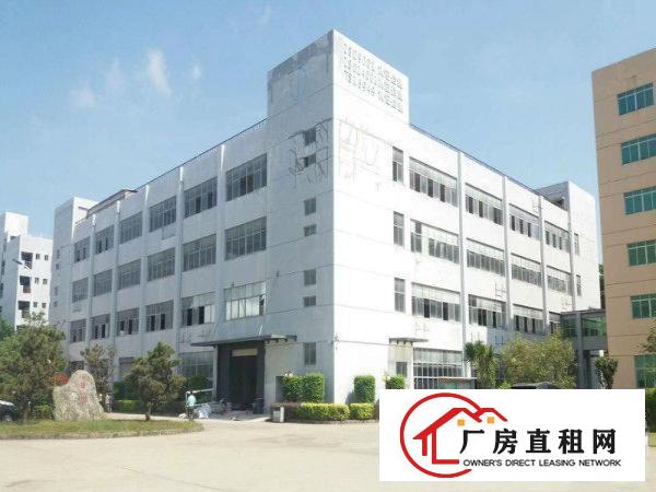 
龙岗宝龙工业区新出3600平米无公摊业主直租厂房