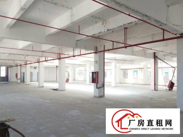 
龙岗宝龙工业区新出3600平米无公摊业主直租厂房
