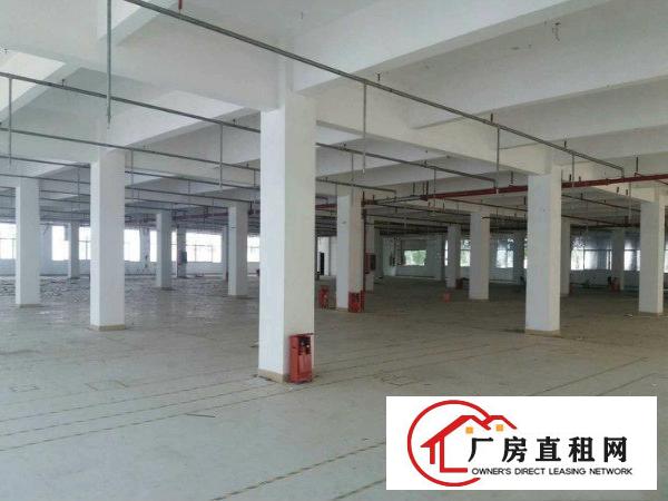 
龙岗宝龙工业区新出3600平米无公摊业主直租厂房