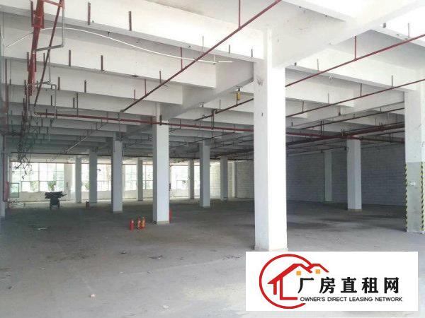 
龙岗宝龙工业区新出3600平米无公摊业主直租厂房