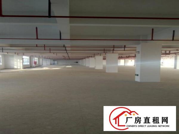 
龙岗宝龙街道30000平米全新高薪产业园招租