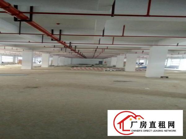 
龙岗宝龙街道30000平米全新高薪产业园招租