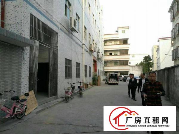 
龙东新出独院厂房4600平方，原房东便宜租，