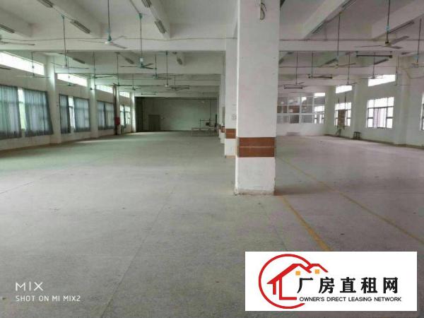 
龙东新出独院厂房4600平方，原房东便宜租，