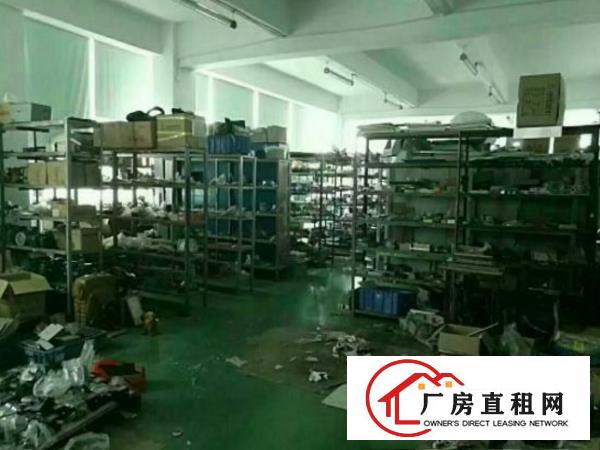 
龙岗南联地铁站口新出豪华装修办公仓库300平出租