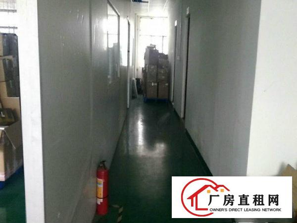 
龙岗龙东新出带电梯二楼1200平整层招租(有装修)