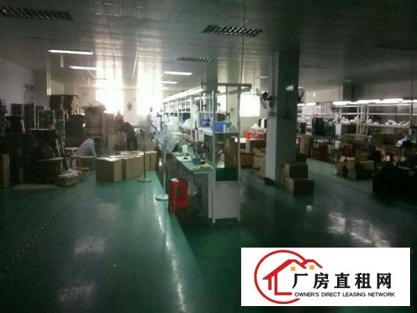
龙岗龙西新出整层二三楼厂房1000平送精装修出租