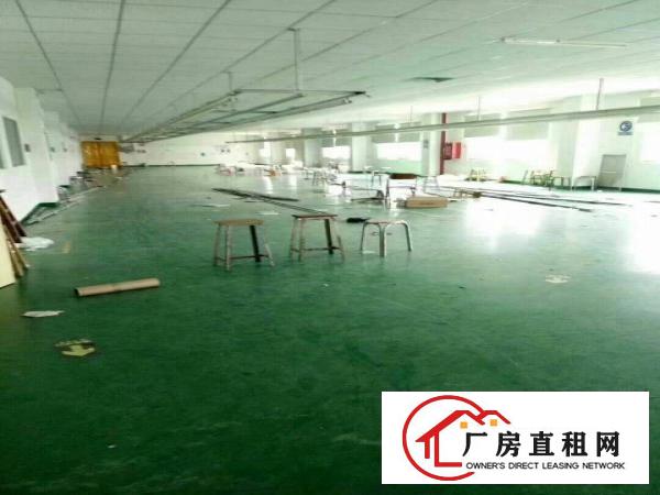 
龙岗有300至9000平方厂房仓库办公室出租可分租