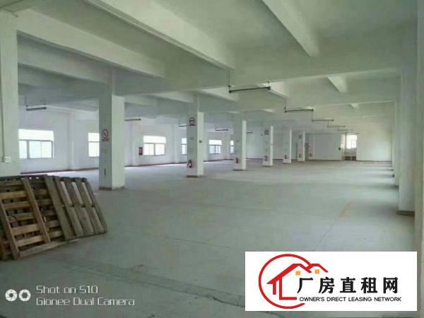 
L龙岗南联原房东1/2楼各1200平方厂房出租