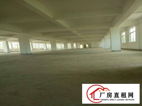 
L龙岗南联原房东1/2楼各1200平方厂房出租