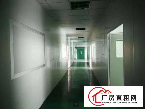 
L龙岗南联原房东1/2楼各1200平方厂房出租