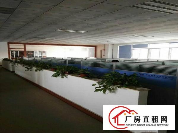 
龙岗南约精装修厂房1800平方米