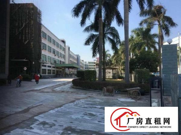 
龙岗宝龙工业区原房东红本厂房出租