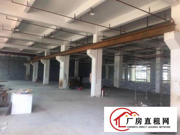 
龙岗宝龙工业区原房东红本厂房出租